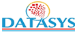 Datasys logo