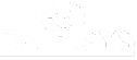 Datasys footer logo
